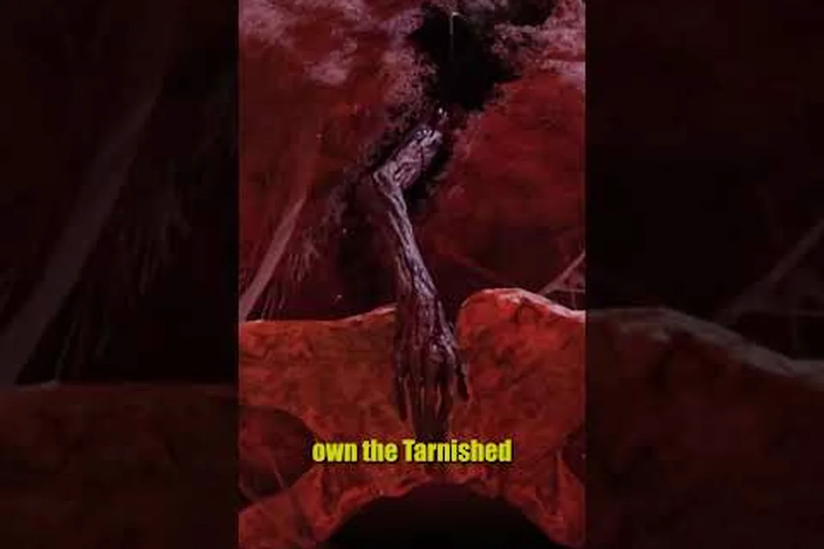 Prix et valeur du pack Tarnished de ELDEN RING Tarnished Edition
